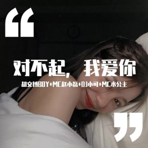 Album 对不起，我爱你 from 胡文博BOY