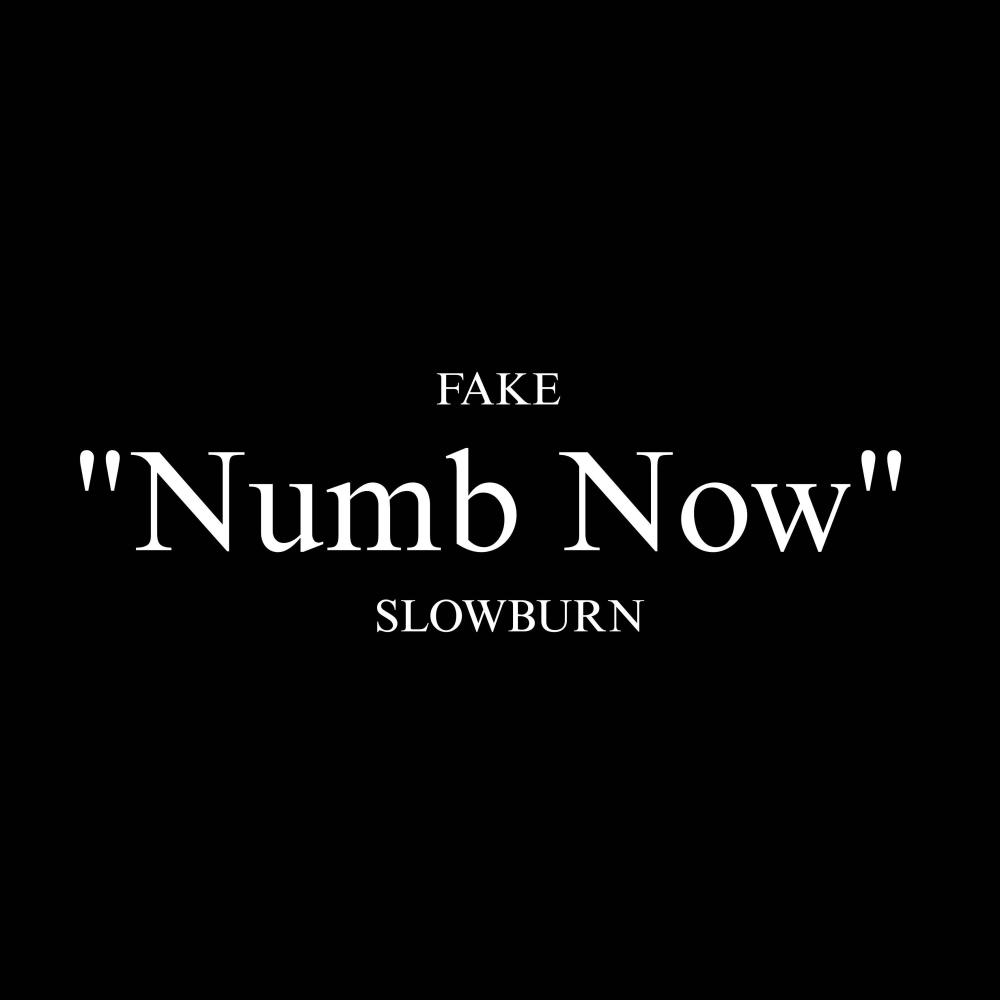 Numb Now (feat. Slowburn Shelt) (Explicit)
