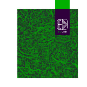 อัลบัม Réveil Silencieux ศิลปิน 8D Lab - Musique de Méditation