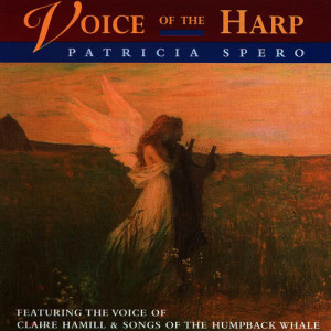 ดาวน์โหลดและฟังเพลง Under the Sea พร้อมเนื้อเพลงจาก Patricia Spero