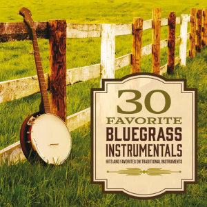 ดาวน์โหลดและฟังเพลง Bluegrass Breakdown พร้อมเนื้อเพลงจาก Kevin Williams