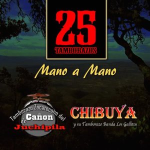 收聽Chibuya y Su Tamborazo Banda Los Gallitos的Chata Malora歌詞歌曲