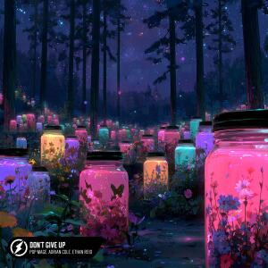 Album Don't Give Up from Pop Mage