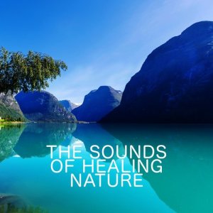 The Healing Sounds of Nature的專輯The Sounds of Healing Nature