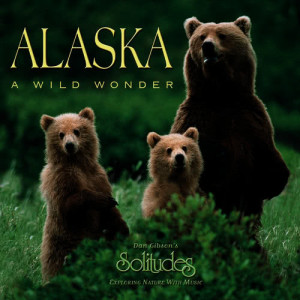ดาวน์โหลดและฟังเพลง Deep Blue พร้อมเนื้อเพลงจาก Dan Gibson's Solitudes