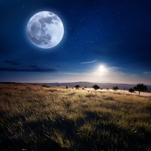 Sonido de la naturaleza para dormir的專輯Noches De Ensueño Lofi: Música Para Un Dulce Sueño