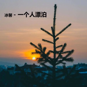 Album 一个人漂泊 (DJ热搜版) from 冰馨