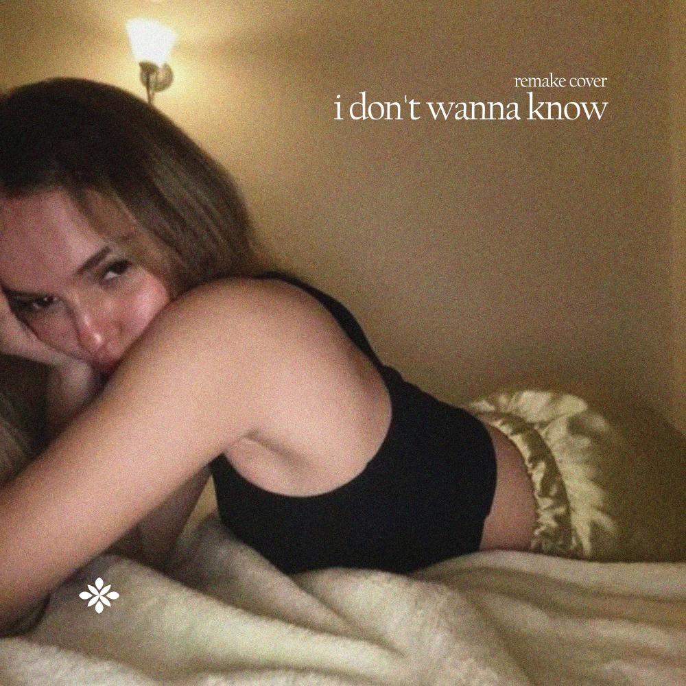 I Don't Wanna Know - Cover