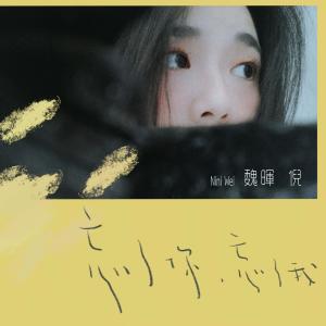 收聽魏暉倪的忘了你忘了我 (伴奏)歌詞歌曲