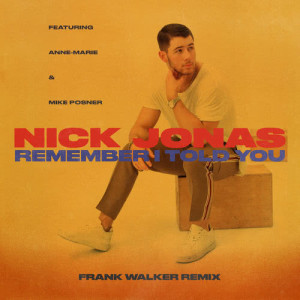 收聽Nick Jonas的Remember I Told You (Frank Walker Remix)歌詞歌曲