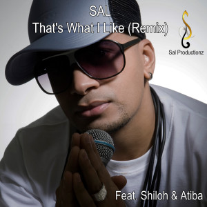 收聽Sal Feat. Shiloh & Atiba的That's What I Like (Remix)歌詞歌曲