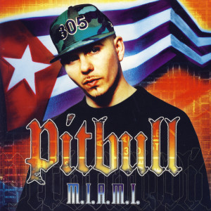 收聽Pitbull的Hurry Up And Wait歌詞歌曲