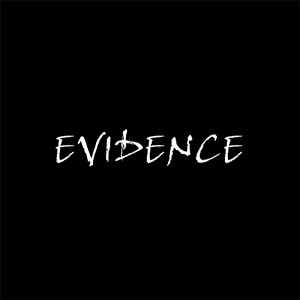 I.D.A的專輯EVIDENCE