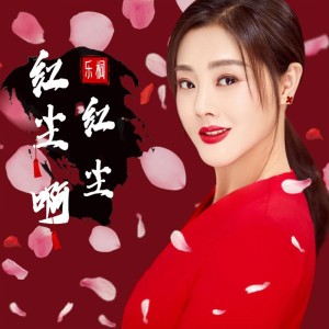 收聽樂桐的紅塵啊紅塵 (DJ偉偉版伴奏)歌詞歌曲