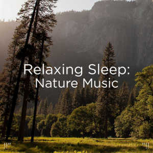 Listen to Meditation Nature song with lyrics from Sleep Sounds of Nature