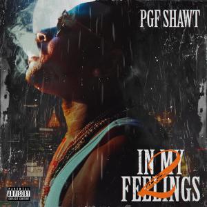 Shawt的專輯IN MY FEELINGS 2 (Explicit)