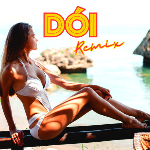 Razao Brasileira的专辑Dói (Remix)
