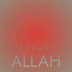 Various Artists的專輯Wish Allah