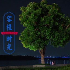 Listen to 容桂时光 (伴奏) song with lyrics from 黄伟成