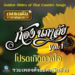 Album เพลงดังหาฟังยาก "ก้อง นภาลัย", Vol.1 (Golden Oldies Of Thai Country Songs) oleh ก้อง นภาลัย