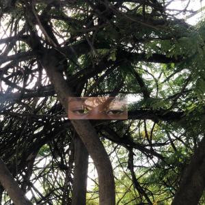 收聽tg.blk的Love Being Used (Explicit)歌詞歌曲