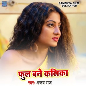 收听Ajay Raj的Phule Bane Kalika歌词歌曲