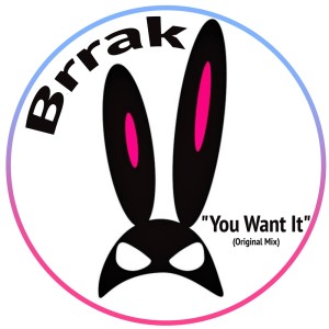 Listen to You Want It (Original Mix) song with lyrics from Brrak