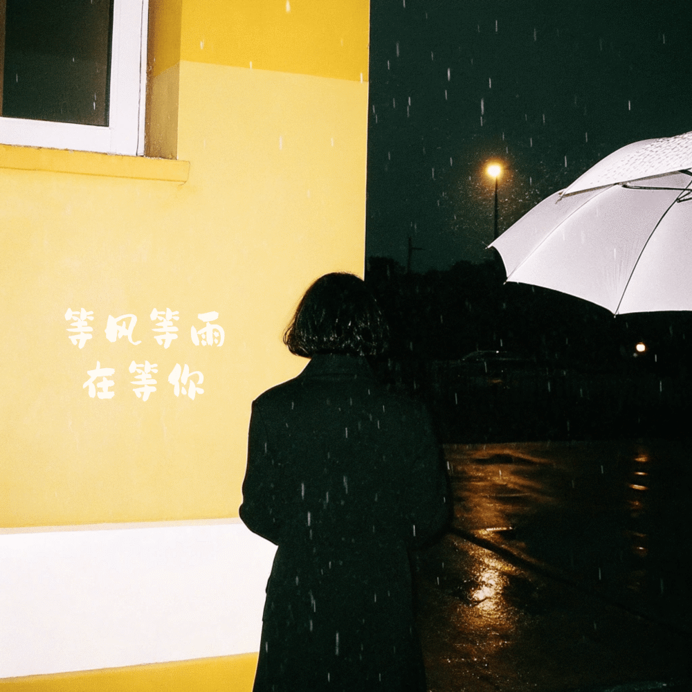 等风等雨在等你 (伴奏)