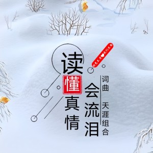 Listen to 读懂真情会流泪 (伴奏) song with lyrics from 琳琳