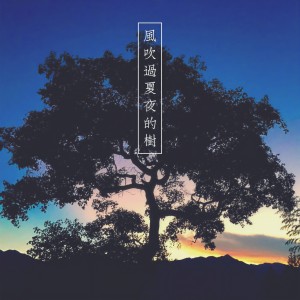收聽音巢音樂的風吹過夏夜的樹 (完整版)歌詞歌曲