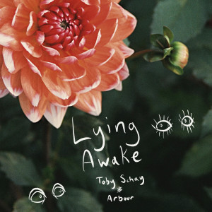 Album Lying Awake oleh Toby Schay