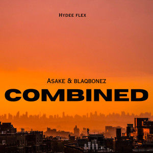 Hydee flex的專輯Combined