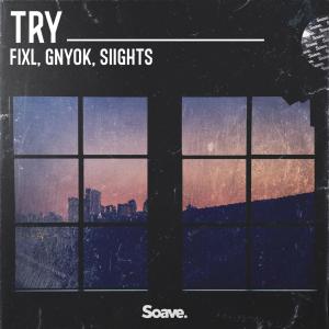 Album Try (feat. SIIGHTS) from Fixl