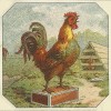 default album img