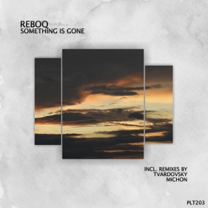 Listen to Something Is Gone (Short Edit) song with lyrics from Reboq
