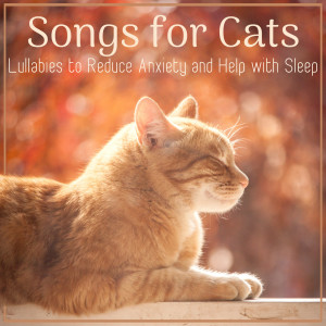 Listen to Cat Resting song with lyrics from Cat Music Dreams