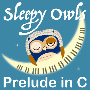 Sleepy Owls的专辑Prelude In C