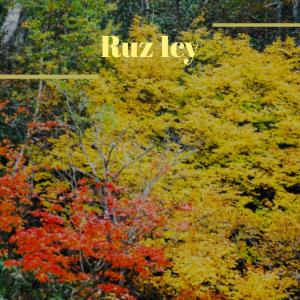 Album Ruz Icy from Various