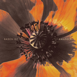 Album Amapola from Baden Goyo