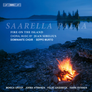 Saarella Palaa (Fire on the Island) dari Seppo Murto