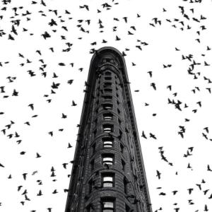 收聽mlvn的FDM (Explicit)歌詞歌曲