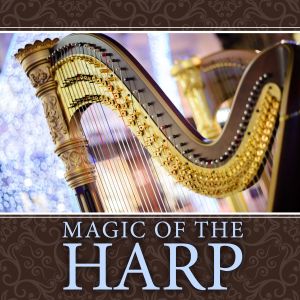 收聽Württemberg Chamber Orchestra Heilbronn的Harp Concerto in A Major: I. Allegro molto歌詞歌曲