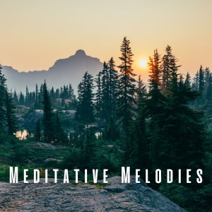 Meditative Melodies: Nature and Chill Sounds for Deep Reflection