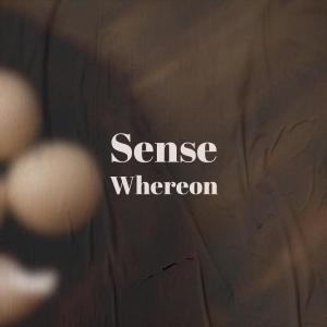 Listen to Sense Whereon song with lyrics from Aria Keid
