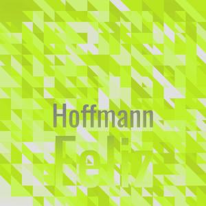 อัลบัม Hoffmann Feliz ศิลปิน Various Artists