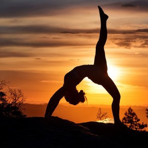 ดาวน์โหลดและฟังเพลง Eco En La Exhalación พร้อมเนื้อเพลงจาก Yoga Para Niños