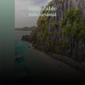 Various Artists的專輯Inalterable Infinitesimal