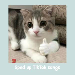 Orinn Sped的專輯Sped up TikTok Songs | Sped up Orinn #38
