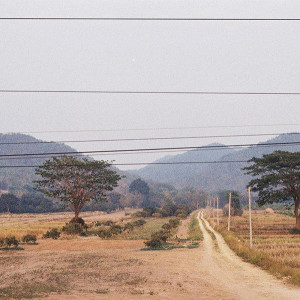 View From The Bus Tour的專輯View Will (Remastered)