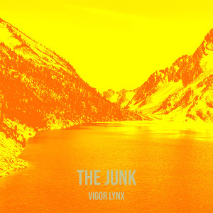 Vigor Lynx的专辑The Junk